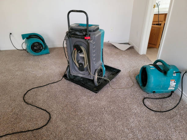 Best Emergency water damage restoration  in Willoughby, OH