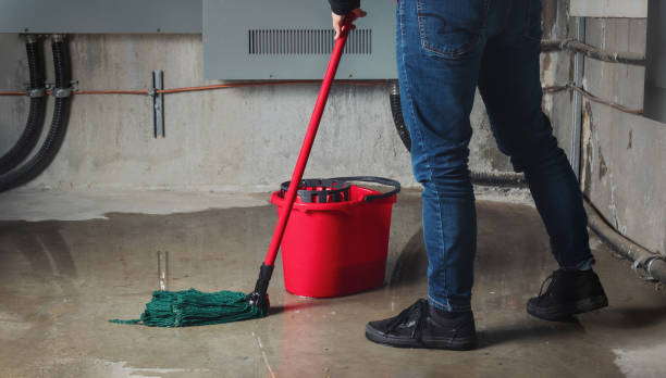 Best Professional water damage repair  in Willoughby, OH
