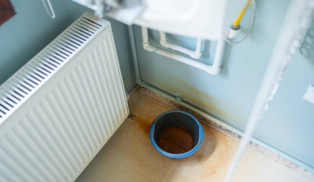 Best Local water damage restoration  in Willoughby, OH