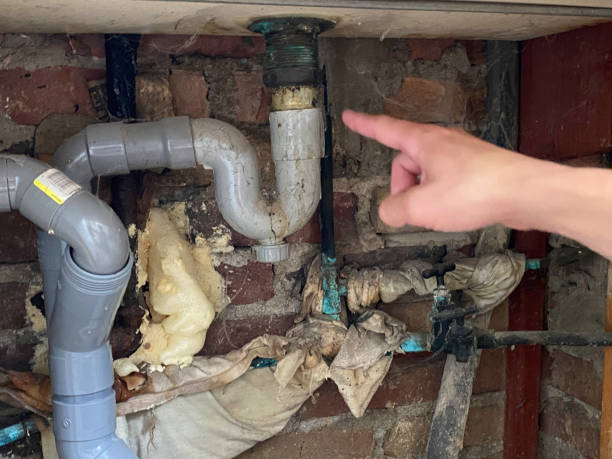 Best Water damage restoration specialists  in Willoughby, OH